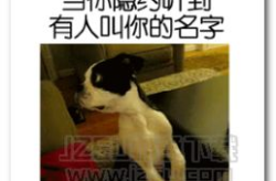 奇葩图片带文字,文字与图像的趣味碰撞