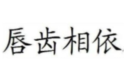 唇齿相依的意思,唇齿相依的伙伴关系