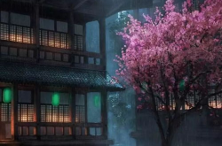 wallpaper壁纸官网入口,海量高清壁纸资源一站式获取指南