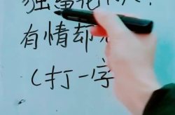 独留花下人,感悟人生无常与珍惜当下”