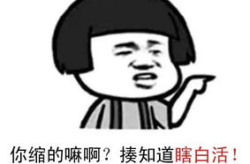精辟逗比的口头禅,幽默风趣，笑点满满！”
