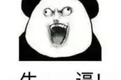 沙雕恶搞表情包,沙雕恶搞表情包的趣味与魅力