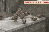 剪映怎么制作gif动态图片,剪映轻松制作GIF动态图片教程