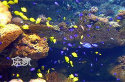 青岛极地海洋世界,探索海洋奇观，感受极地魅力